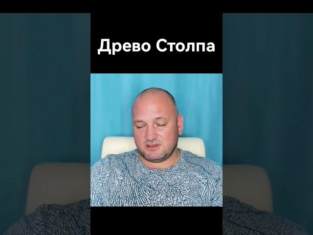 ДРЕВО СТОЛПА #Аллеейя #Ирина_Подзорова #Кассиопея