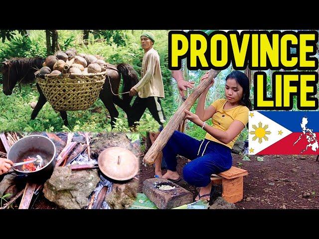 Countryside: Life in the Province of Philippines | Mindanao Province business idea