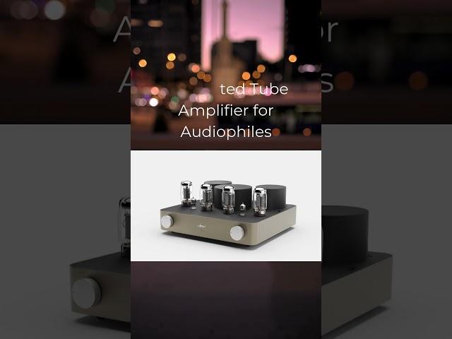 Fezz Audio Titania Hi-Fi Tube Amplifier #tubeamplifier