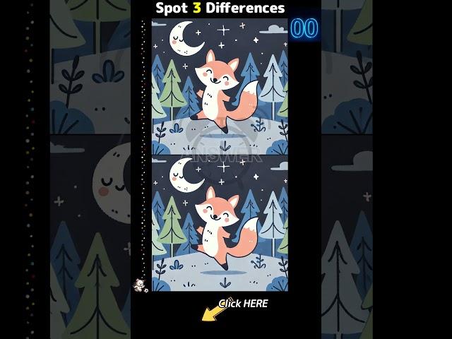 Only 30 Seconds! Can You Find the 3 Hidden Differences? 066_05