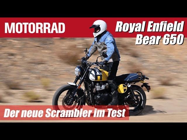 Die NEUE Royal Enfield Interceptor Bear 650 im ersten Test: was taugt der neue Scrambler wirklich?