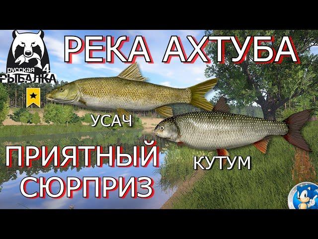 РЕКА АХТУБА  ТРОФ УСАЧ + КУТУМ Русская Рыбалка 4 (РР4)