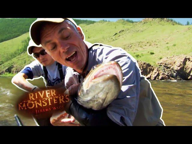 It Takes 2 Men To Catch This Monster Taimen Fish | TAIMEN | River Monsters