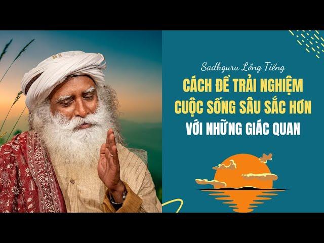 Làm Thế Nào Để Trải Nghiệm Cuộc Sống Sâu Sắc Hơn| Sadhguru Lồng Tiếng #180