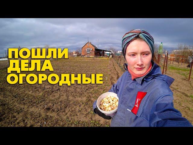 20 ч. Купили дом на юге. Открываем огородный сезон в феврале. Пора сажать урожай в открытый грунт