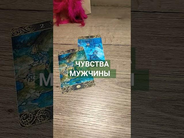 Таро. Чувства мужчины #фиоленттаро #таро #таросегодня #тароонлайн #tarot