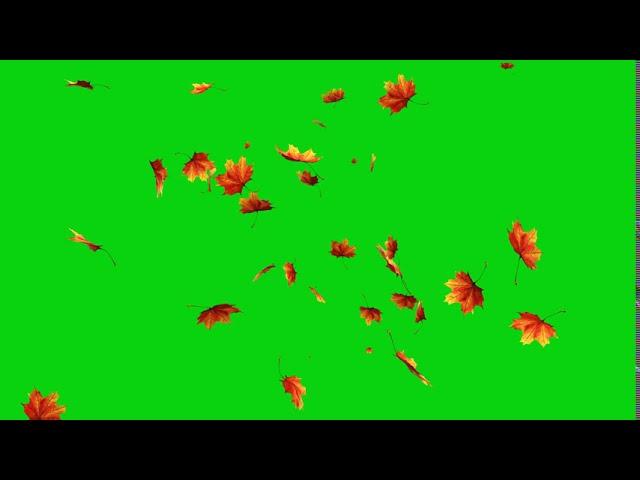 falling leaf green screen background video #leaf 3D HD FHD