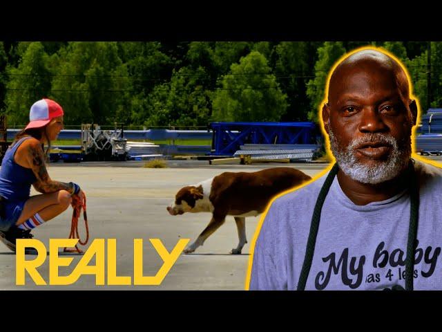 Abandoned Pitbull Only Feels Safe Around Women l Pit Bulls and Parolees