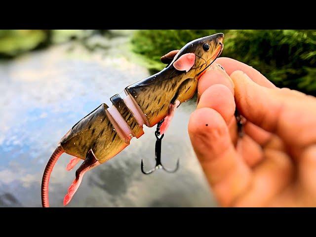 EPIC Pike Fishing with the Savage Gear 3D Rat Lure! (crazy hits!)