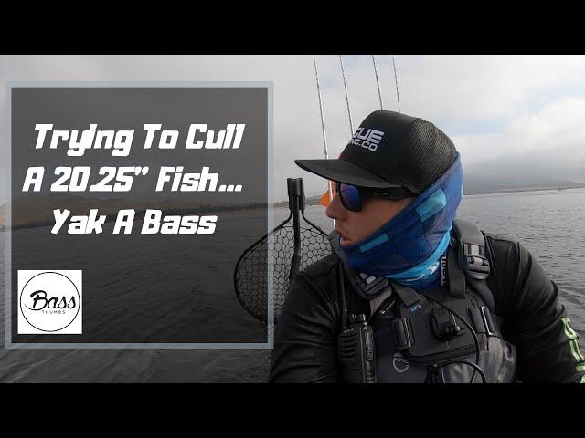 Trying To Cull A 20.25” Fish// Yak A Bass Monthly