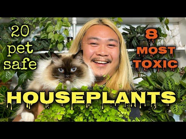 Don’t Poison Your Fur Babies With These Houseplants!