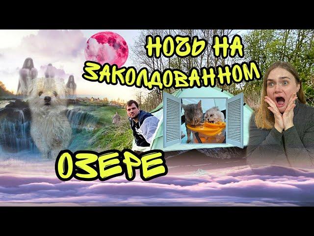 НОЧЬ В ПАЛАТКЕ НА ЗАКОЛДОВАННОМ ОЗЕРЕ | СПАСЕНИЕ ЩЕНКА БИЛЛИ БОЯ