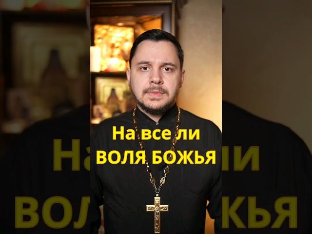На все ли Воля Божья? #евангелие #православие #священник #проповедь #церковь #библия #толкование