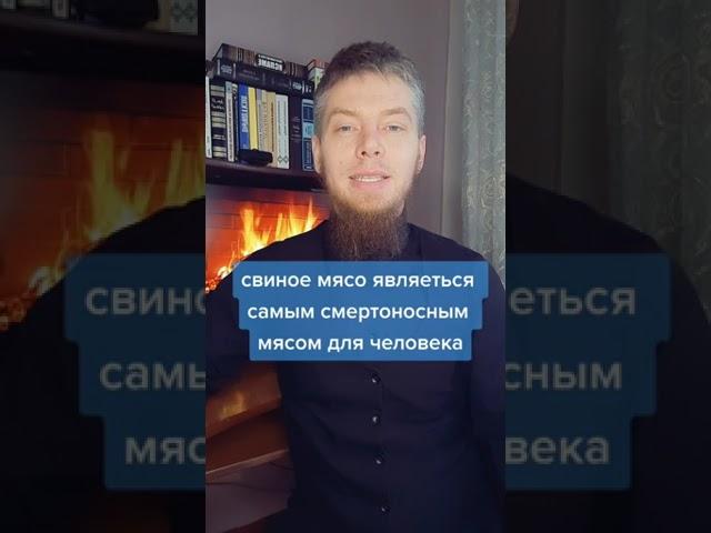 Почему нельзя есть свинину/Ислам/Мусульмане/умма/Русские мусульмане/умма Мухаммада/Мозолев Сергей