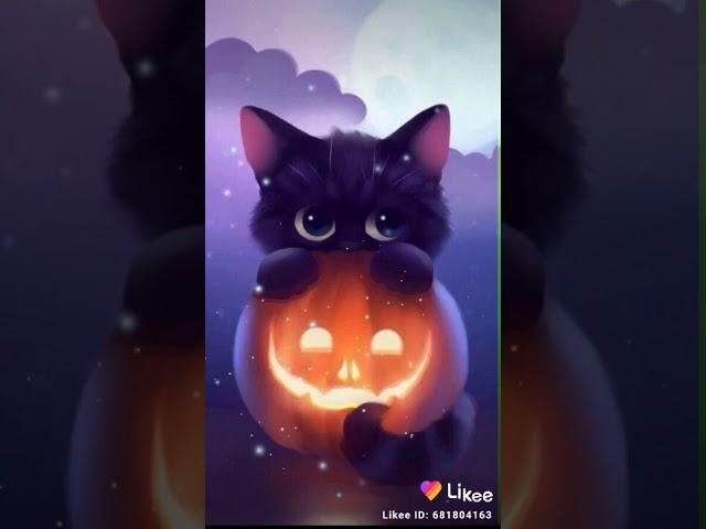 коты супер