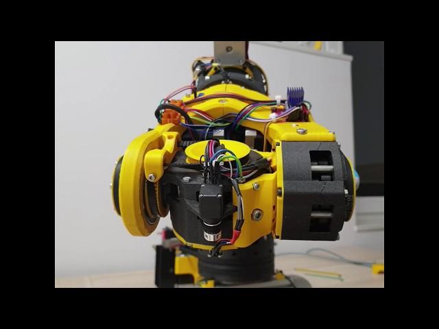 Atlas 6DOF 3D printed robot - all axis moving - artysta automatyk