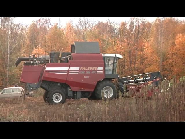 Техническая конопля - хорошо забытое старое (6+)