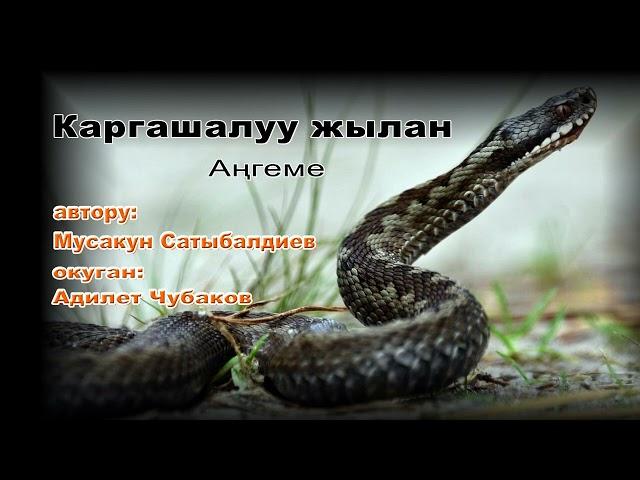 АҢГЕМЕ \ КАРГАШАЛУУ ЖЫЛАН \ АУДИО КИТЕП