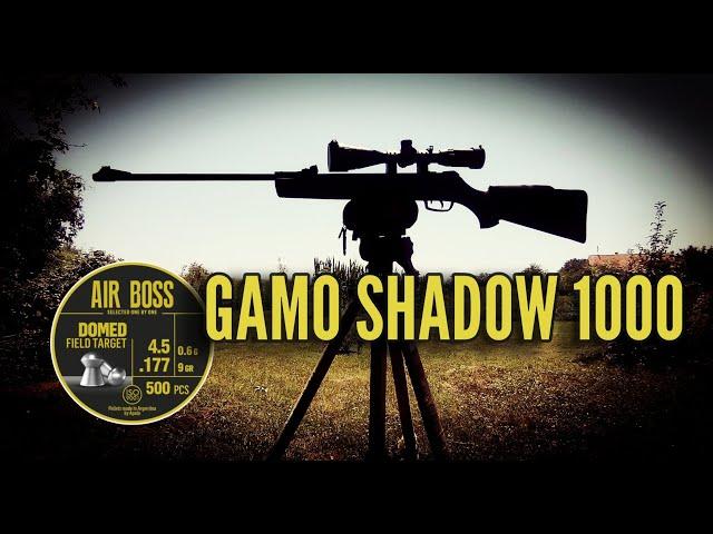 Gamo Shadow 1000 & Apolo Air Boss 25 m