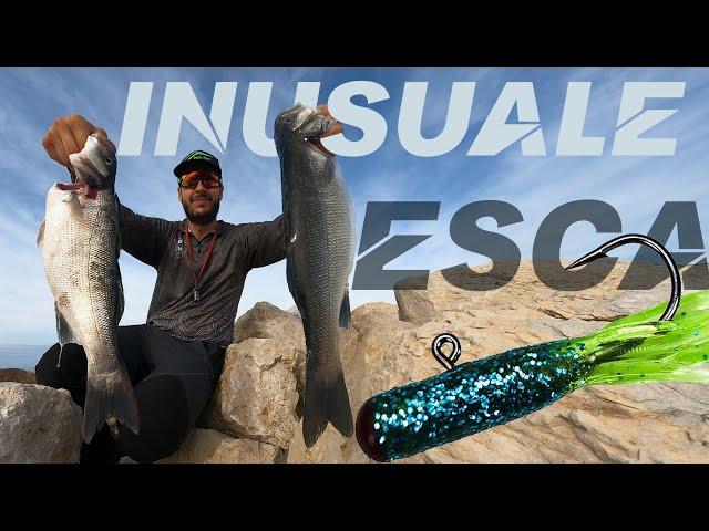 esca incredibile per le spigole _ unusual lure for Seabass