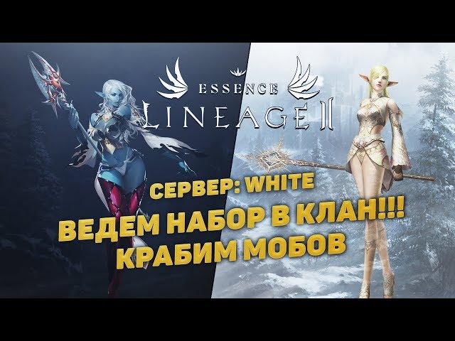 LINEAGE 2 ESSENCE RUSSIA ► СЕРВЕР: WHITE \\ ВЕДЕМ НАБОР В КЛАН!!!