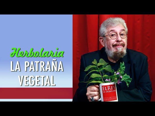 La injustificada exaltación de las prácticas herbolarias y las mentiras que rodean al negocio...