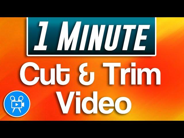 How to Cut and Trim Video | Movavi Video Editor Plus