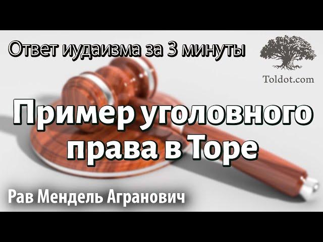 Яркий пример уголовного права в Торе. Ответ иудаизма за 3 минуты. Рав Мендель Агранович