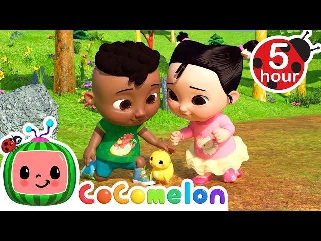 Cody and Cece Nature Walk Song | CoComelon - Cody's Playtime | Songs for Kids & Nursery Rhymes