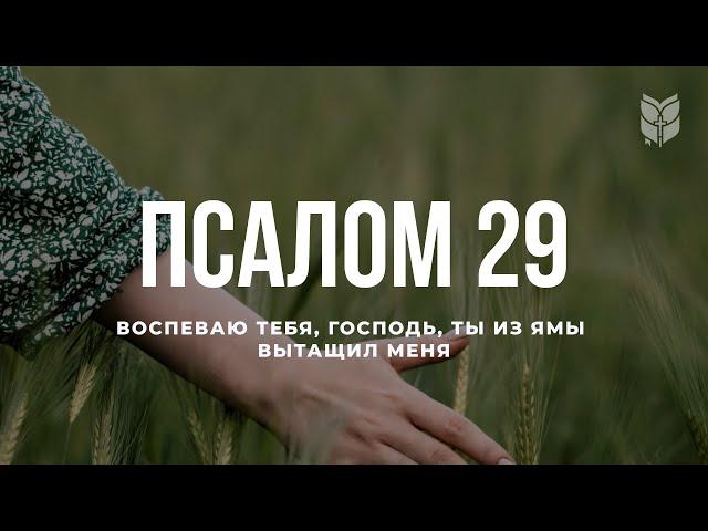 Псалом 29. Современный перевод Библии #biblevision