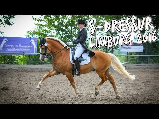 [Turnier] Amani | S-Dressur | Limburg 2016