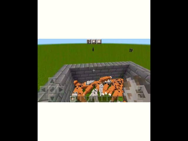 Will Wolf kill Fox ? ~ Funny Experiment in Minecraft~Minecraft Experiment #minecraftexperiment