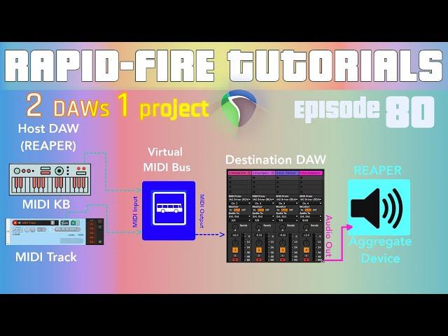 How to Route Audio & MIDI Between Any two DAWs (Rapid-fire REAPER Tutorials Ep80)