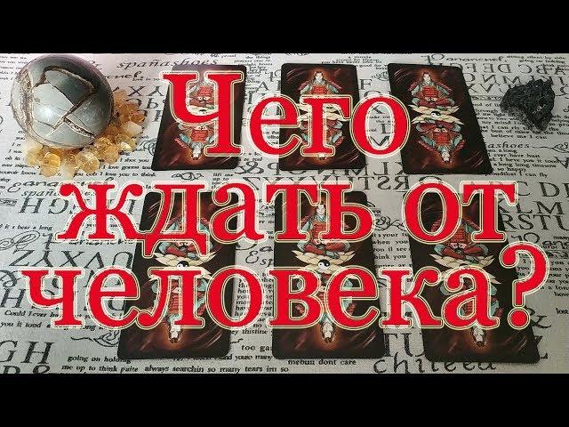 Чего ждать от человека? Общий расклад.