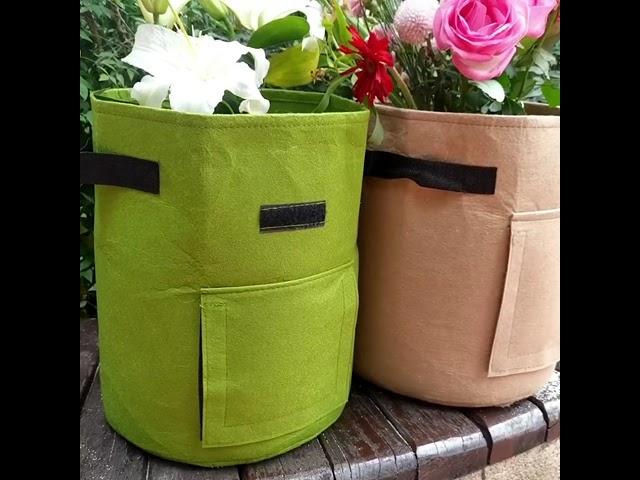 Plant Flower with Sunshine Garden Grow Bags at home