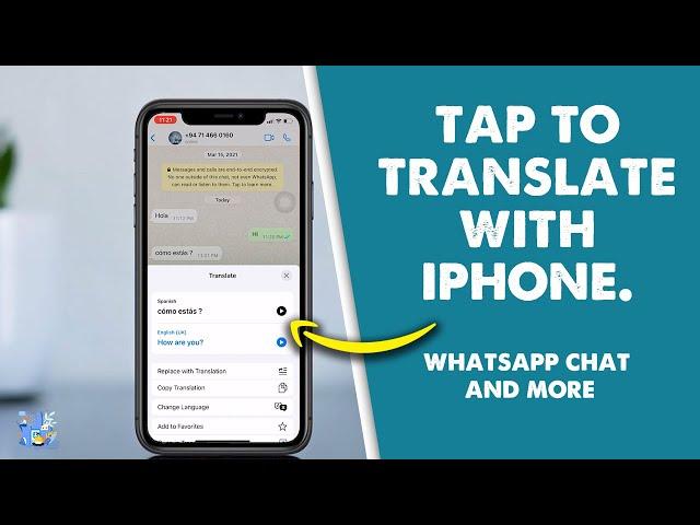 How to use Tap to Translate on iPhone