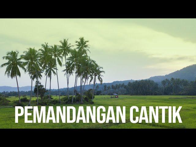 Rupanya Ada Sawah Padi Cantik Di Terengganu! | Kampung Maras Terengganu