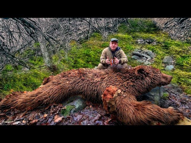 Bear hunt in the Caucasus Mountains