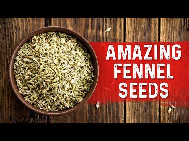 Fennel Seeds Benefits for Stomach Bloating and Cramping – Bloating Stomach Remedies – Dr. Berg