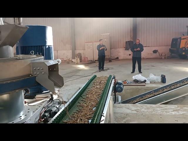 pelet machine wood pellet line biomass crusher combined with pelletizer