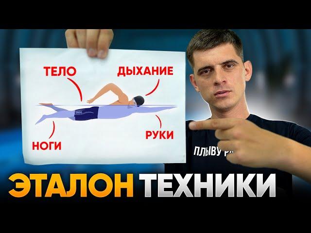 ЭТАЛОННАЯ техника кроля. ПОШАГОВО: Корпус, руки, ноги, дыхание в плавании