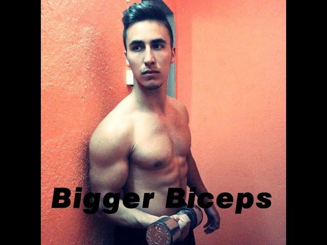 Bigger Biceps | Workout | Gohard | Kehayov |