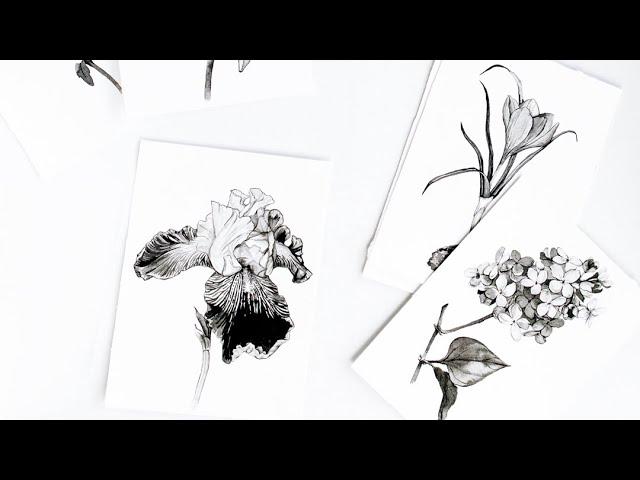 31 flower paintings art tour · Ink drawings showcase · black and white flowers by Anna Farba