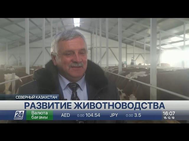 Современную молочно-товарную ферму построили в поселке Заградовка СКО