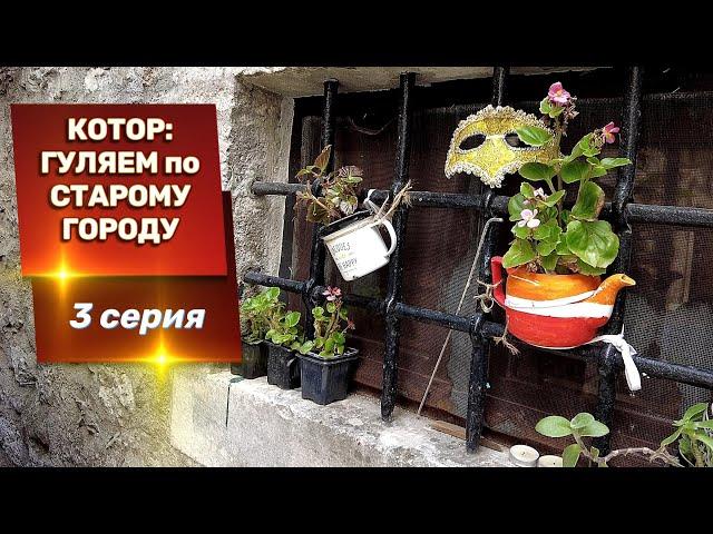 Котор, 3 серия. Бродим по старому городу