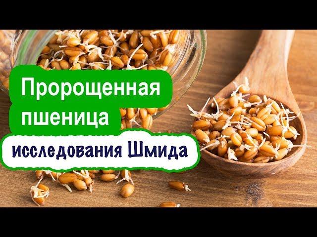 Пророщенная пшеница: польза, как прорастить и употреблять