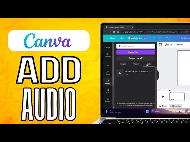 How To Add Audio In Canva (2024) Quick Method