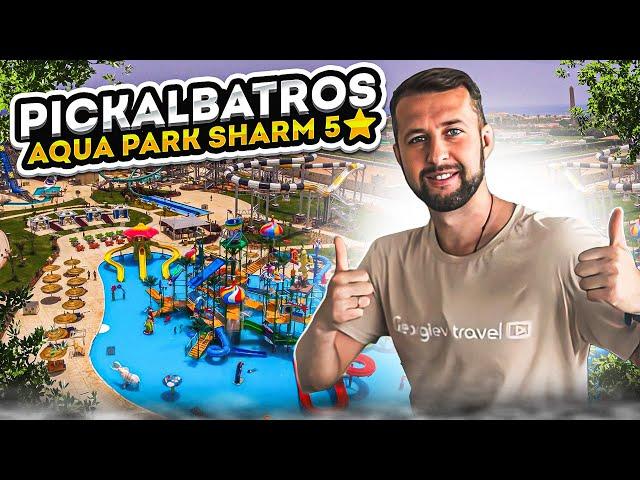 Pickalbatros aqua park sharm 5⭐️. Египет, Шарм-Эль-Шейх, из Москвы. Обзор Павла Георгиева.