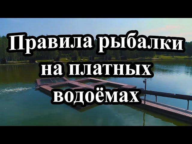 Правила рыбалки на платных водоёмах 2019