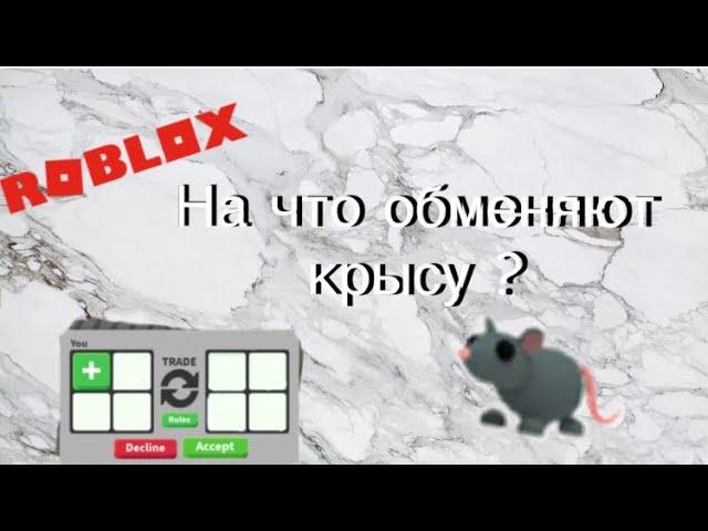 Что дают люди за крысу в Adopt me / roblox game 